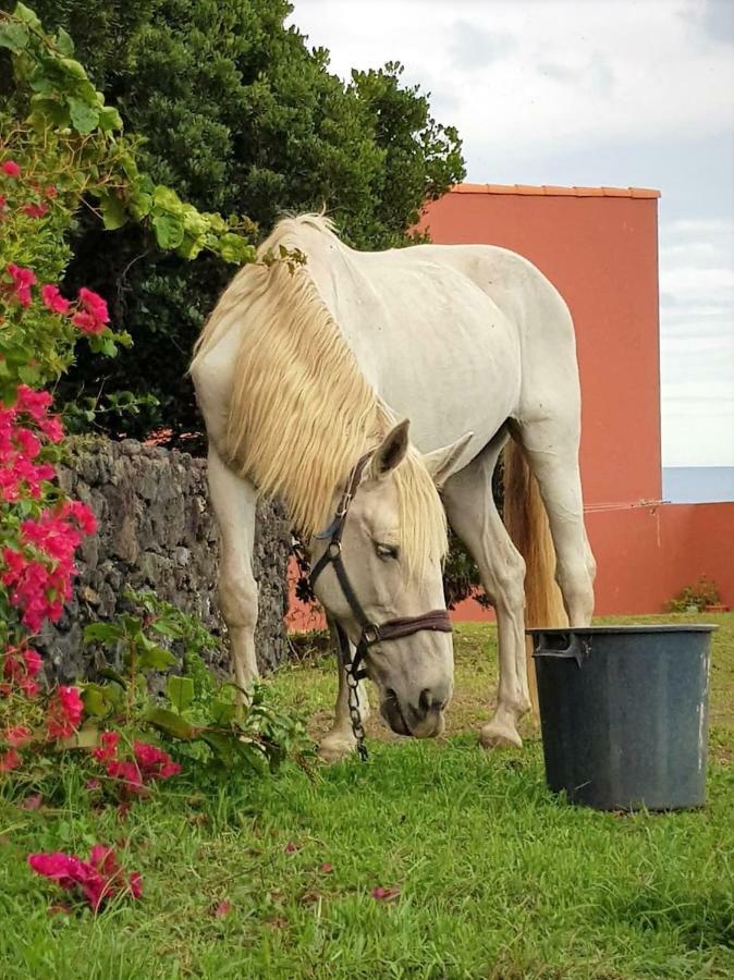 Quinta Da Falesia - Casa Amarela Понта-Делгада Екстер'єр фото