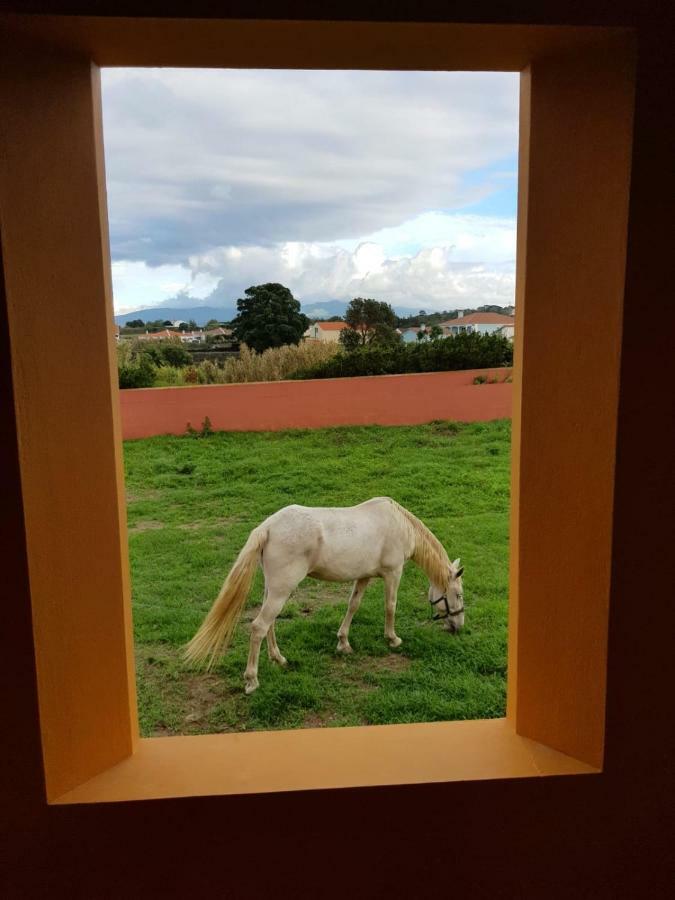 Quinta Da Falesia - Casa Amarela Понта-Делгада Екстер'єр фото